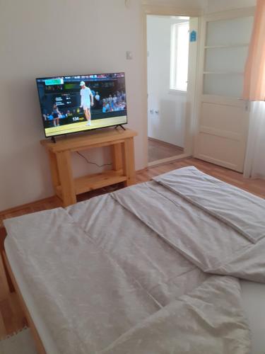 a bedroom with a bed and a tv on a table at Smestaj Stankovic in Soko Banja
