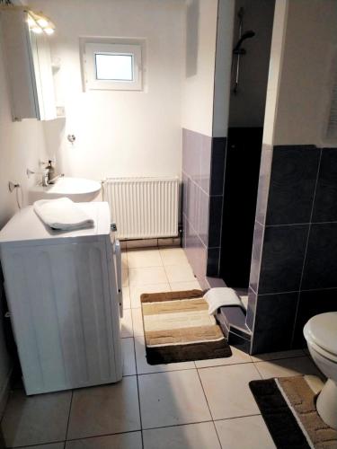 a bathroom with a sink and a toilet at Casa Catalyna in Predeluţ