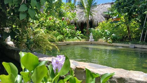 Un jardín fuera de Casa Picaflor B&B