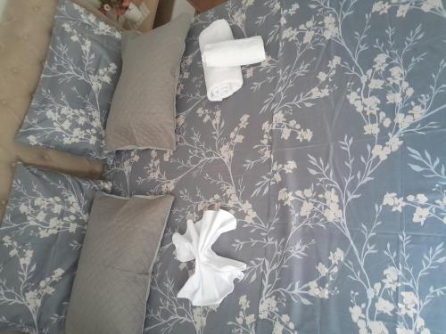 Et opholdsområde på Tonia&Sion