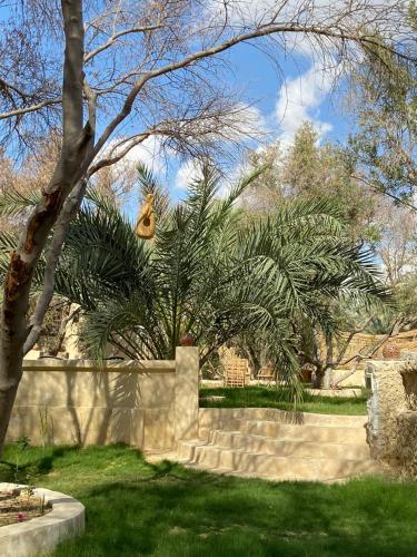 Ein Garten an der Unterkunft Best One Siwa بيست وان سيوة