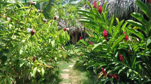 un giardino con fiori rossi e piante verdi di Jungle Hut near Beach - Nature Lovers a Las Terrenas