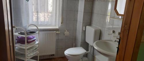 a small bathroom with a toilet and a sink at Landpension Zum Schweizerberg in Neugrimnitz
