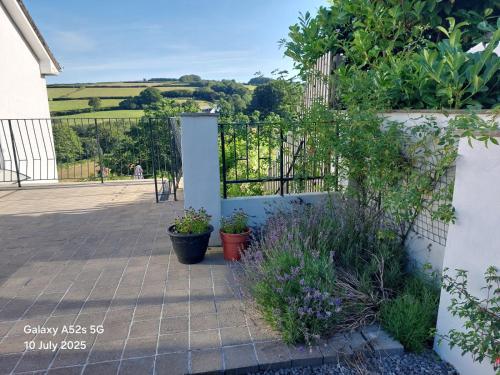 a garden with potted plants and a fence at Highfield House, Parracombe, Modern B&B in Parracombe