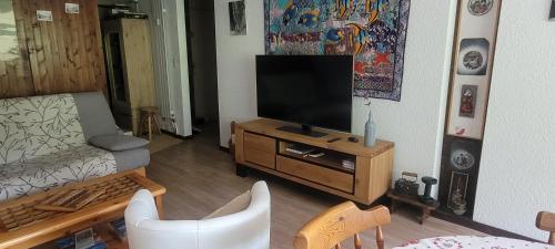 Grand studio près Lac Gaillands في شامونيه مون بلان: غرفة معيشة مع تلفزيون بشاشة مسطحة على مركز ترفيهي خشبي