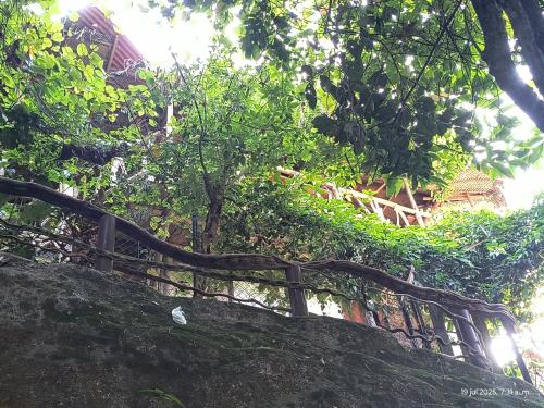a fence on top of a hill with trees at Sierra Tayrona hostel in El Zaino