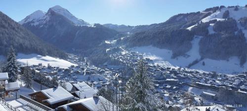Morzine T2 vue imprenable