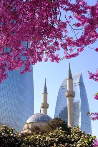 two mosques and a tree with pink flowers at FRIENDS Hostel Baku in Baku