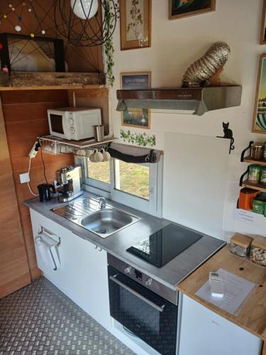 une petite cuisine avec un évier et une cuisinière dans l'établissement tiny house, à Faverolles-sur-Cher