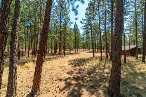 a forest with trees and a building in the background at Juniper & Pine, a Lodge-Style Cabin in Sisters, OR in Sisters