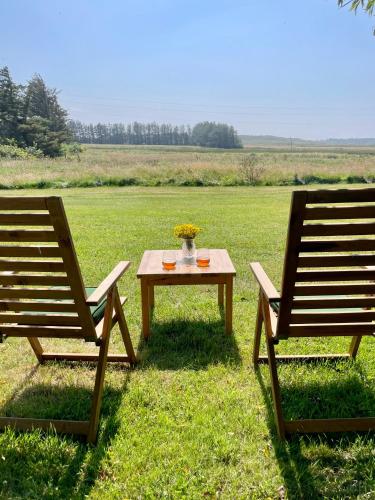 dos sillas y una mesa con flores en un campo en Surfreservatet i Nationalpark Thy, en Hanstholm