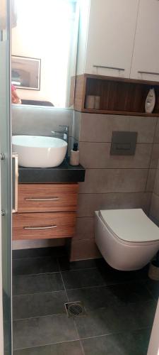 a bathroom with a sink and a toilet at Haus Andreas in Néa Meságkala
