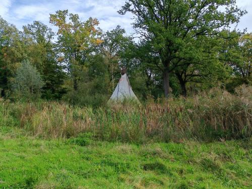 Φωτογραφία από το άλμπουμ του Rising Sun tipi met vuur in de natuur σε Nederweert-Eind
