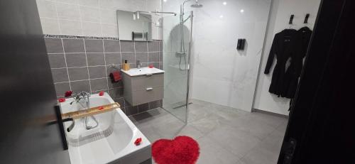 a bathroom with a shower and a sink and a toilet at L'escale du désir, Spa privatif in Calais