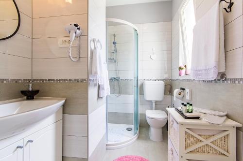 ein Badezimmer mit Dusche, Toilette und Waschbecken in der Unterkunft Center Apartment Tina in Pula