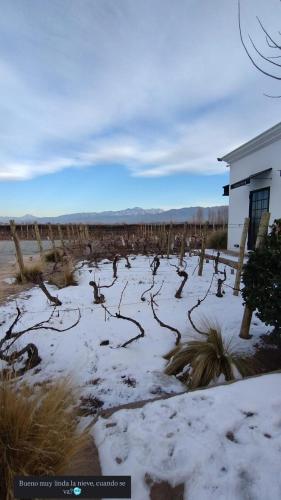 a field covered in snow next to a building at Viamonte Winery Lodge in Chacras de Coria
