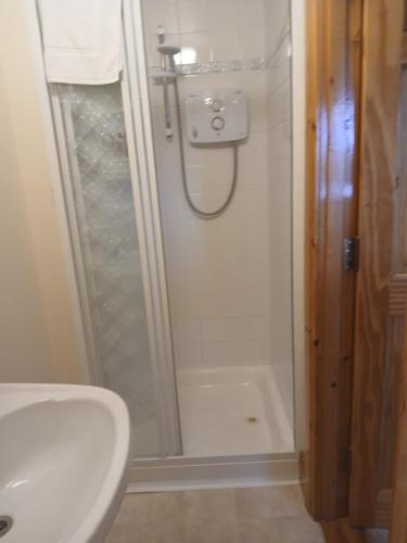 a bathroom with a shower and a toilet and a sink at Roshine hill in Shanbally
