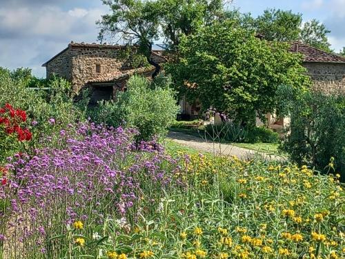 a field of flowers in front of a house at Peaceful Eco House in the Tuscan Hills in Casole dʼElsa