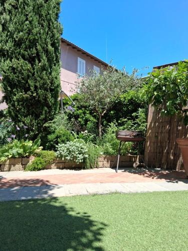 a park bench sitting in the middle of a garden at Rustico degli Ulivi in Vallecchia