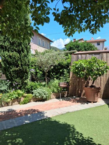 a garden with a fence and a potted plant at Rustico degli Ulivi in Vallecchia