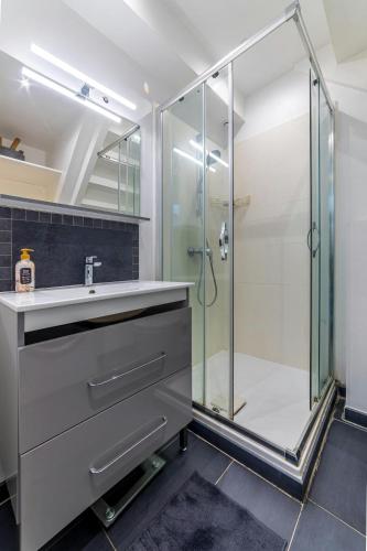 a bathroom with a sink and a shower at Le Central Bleau 2 - Hypercentre in Fontainebleau