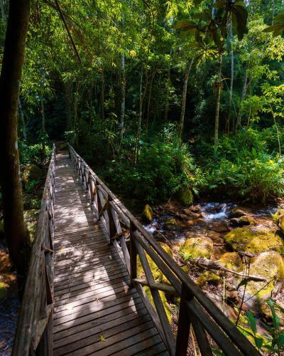 a wooden bridge over a stream in a forest at Parador Lumiar Boutique Hotel & Spa in Lumiar
