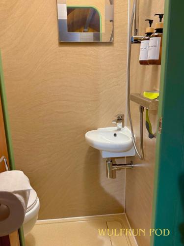 a bathroom with a sink and a toilet at West Stow Pods in Bury St Edmunds in West Stow