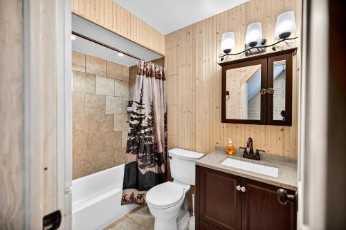a bathroom with a toilet and a sink and a tub at Hideout Pocono Chalet in Lake Ariel