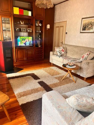 a living room with a couch and a tv at Casa Francesco in Peaio
