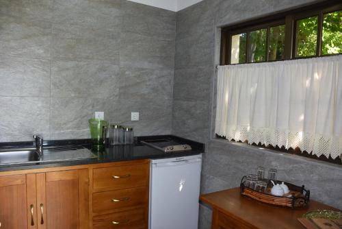 a kitchen with a sink and a dishwasher at Quinta da Boa Ventura in Bragança