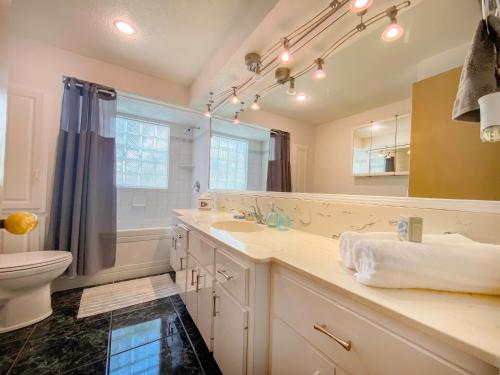 a bathroom with a sink and a toilet and a mirror at Siesta Key Paradise, Vacation Pool Home, Near Beach, Restaurants and More in Sarasota