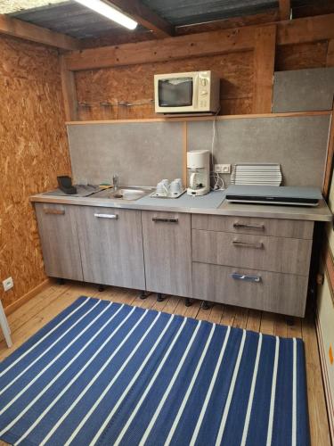 une cuisine avec un évier et un micro-ondes dans l'établissement Côté plage, à Vias
