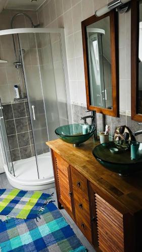 a bathroom with a sink and a shower at La Régence Ch 2 in Brette-les-Pins