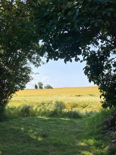 Paysage naturel près de la maison de vacances