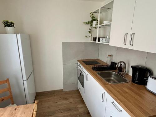 a kitchen with a sink and a refrigerator at Apartmán pod Hradem in Most