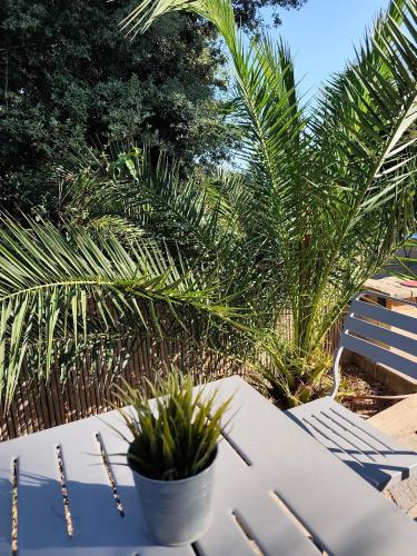 BOUTIQUE HOSTEL BY Cassis photo 2