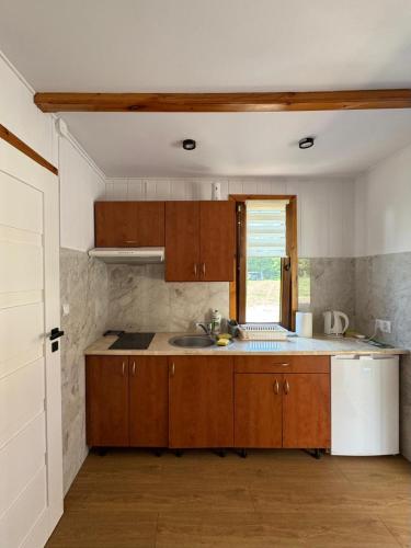 a kitchen with wooden cabinets and a sink at Amber Coast domek nr 2 in Jantar
