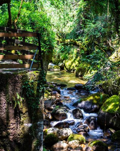 a stream with a bench next to a river with rocks at River Room in Bicas