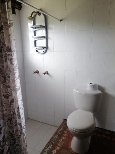 a bathroom with a toilet and a shower curtain at Casa de campo Cucunuba cabaña Buena Vista in Cucunubá