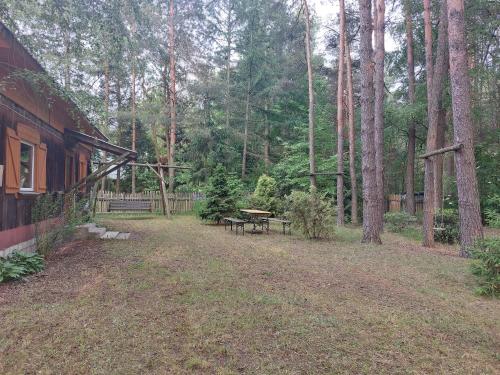 a backyard with a picnic table and a bench at Leśna chatka in Wilga