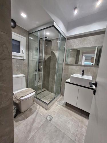 a bathroom with a shower and a toilet and a sink at blue sea suites in Tsoútsouros