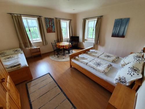 a room with a bed and a table and chairs at Penzion Vila Křenov in Bernartice