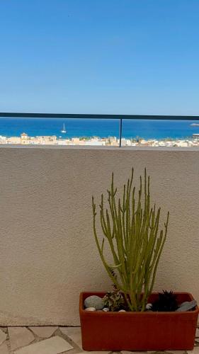 a cactus in a pot next to a wall with the ocean at Carboneras - Holidays Time in Carboneras