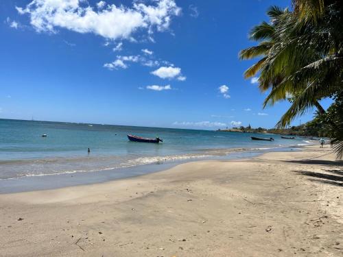 a beach with a palm tree and a boat in the water at Argalo Suites 1 in Laborie
