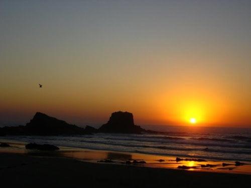 a sunset on the beach with a bird flying over the ocean at big apartment in the beach in Zambujeira do Mar