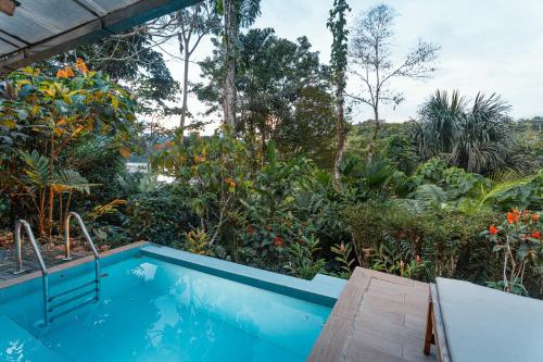 a swimming pool in the middle of a garden at El Jardin Lodge & Spa in Puerto Misahuallí