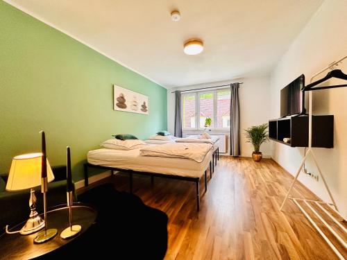 TV a/nebo společenská místnost v ubytování Green Room