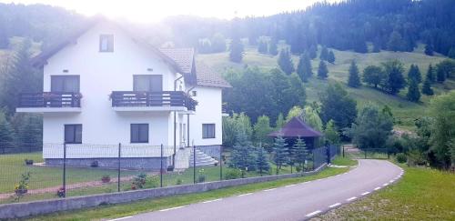 a large white house on the side of a road at Casa Irina in Durau