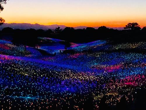 a field filled with lots of lights at sunset at Oak Pass Ranch in Paso Robles