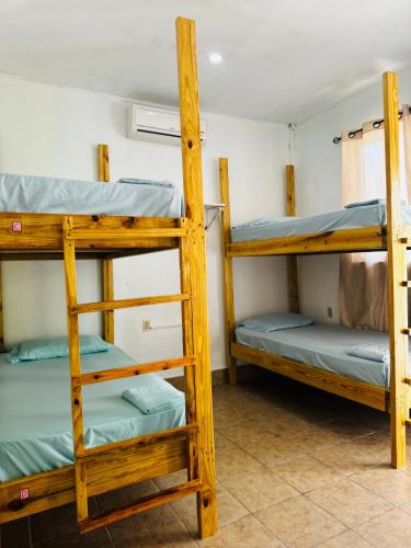 a room with three bunk beds in it at Go Slow Guesthouse in Caye Caulker